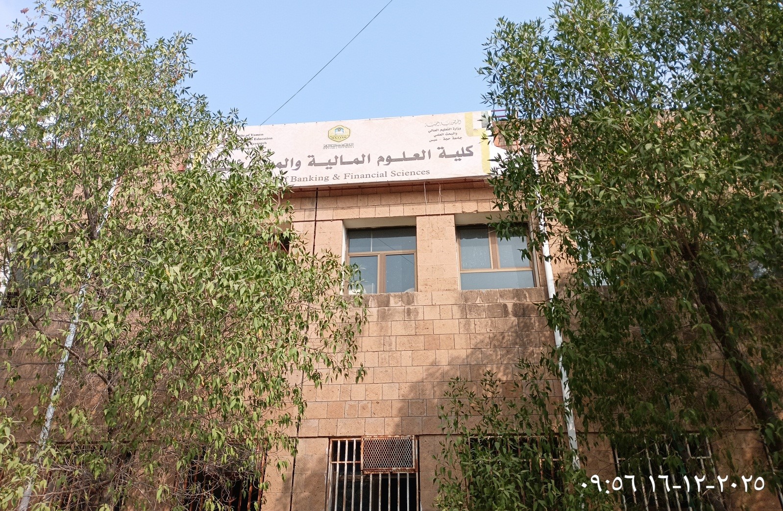 الهيكل التنظيمي - كلية العلوم المالية والمصرفية